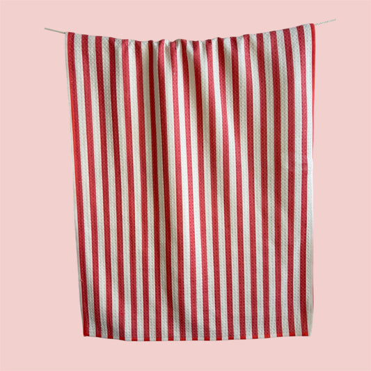 Cindy Stripes